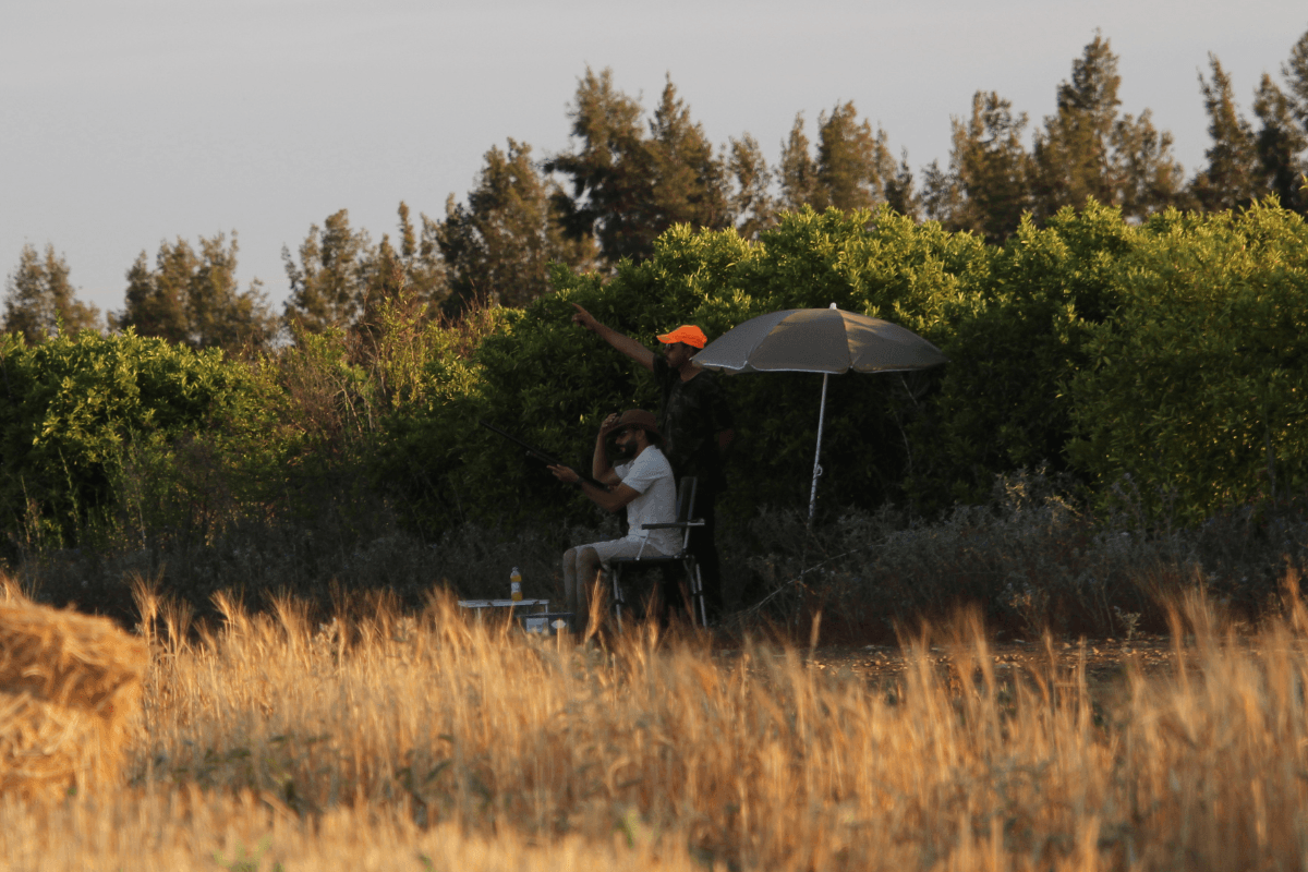 Professional guides and on-site assistance